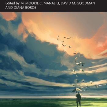 Book cover of "Aesthetic Ethics: Towards A Moral Imagination" featuring a person standing on grass, looking at a flock of birds flying against a colorful sky.