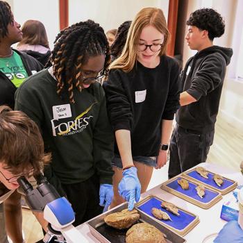 Students wearing gloves examine organ specimens on trays, with one student using a microscope, during the Brain Bee.
