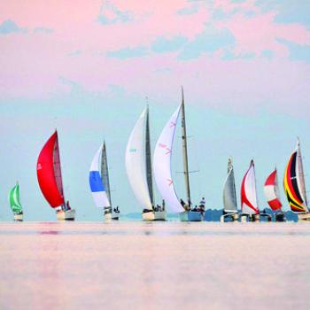 Nine sailboats with colorful sails are sailing on calm water under a pastel sky, with trees visible in the distance on the right side.