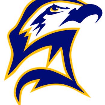 Stylized illustration of a hawk’s head in profile, drawn with bold navy blue lines and outlined in yellow. The hawk has a fierce expression and a prominent beak.
