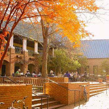 People sitting at tables on a brick patio in front of a brick building surrounded by autumn trees.