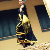 Flamenco image