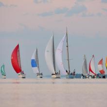 image of Gov Cup race