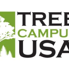 Tree Campus USA logo