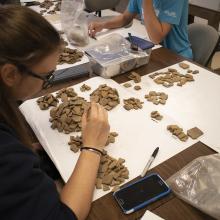 Rachel Bissett catalogs ceramics from a Native American archaeological site