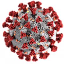 Coronavirus image