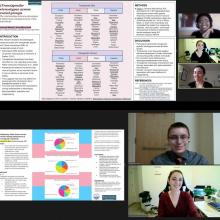 SPSP Presentations