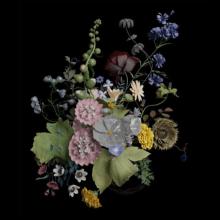Image of 3D modeled flowers against a black background.