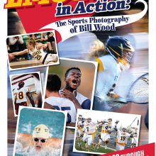 Emotion in Action poster image