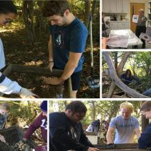 Students conducting field research at the Henry Brooks site at GEWA.