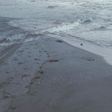 a piece of art showing water tides done by Mary Claire Nameth using large scale printing on Tyvek material 