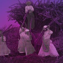 Four women load sugarcane onto a large wooden cart, set against a purple-tinted background.