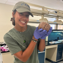A woman wearing gloves and a cap holds a brain specimen in a laboratory setting, smiling at the camera.