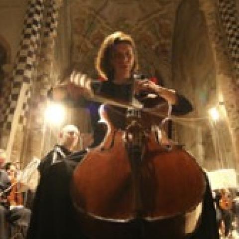 Suzanne Orban