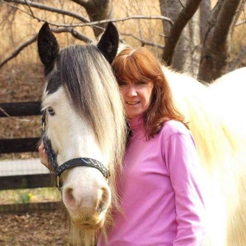 one of my horses