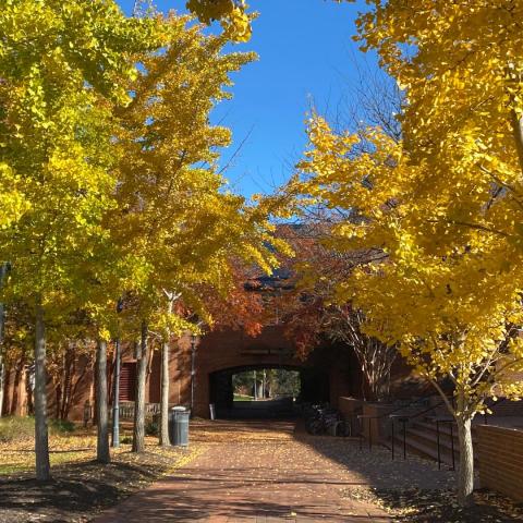 Campus Center in the Fall