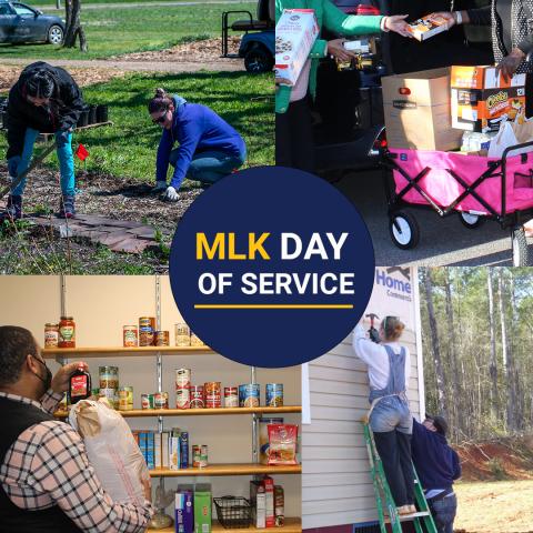 MLK Day of Service