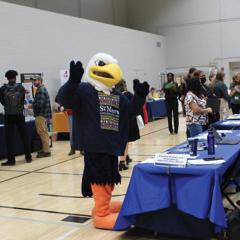 Wellness Fair with Solomon