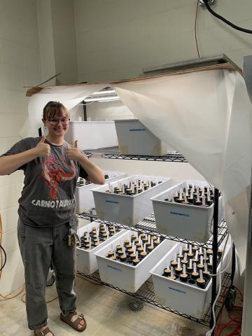 Person giving two thumbs up stands next to metal racks holding white bins filled with labeled plant samples under grow lights in a laboratory setting.