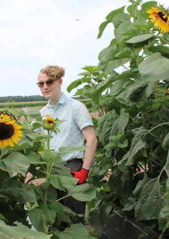 Blaire Dickens in a Sunflower field at Kate Chandler Campus and Community Farm 