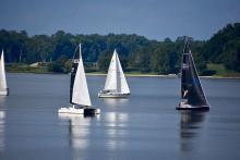 sailboats pictured competing in Gov Cup