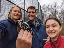 Tobiansky holding a Downy Woodpecker with 2 undergraduate researchers at SMCM