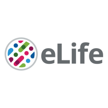 eLife logo