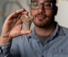 A person wearing glasses and a blue shirt holds up a large fossilized tooth. The tooth is in focus, with the person slightly blurred in the background.