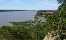 View of a wide river bordered by trees and grassy areas, seen from an elevated vantage point on a clear day.