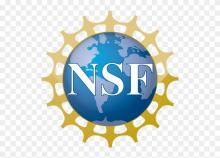 NSF logo featuring a blue globe with white continents, the letters "NSF" in white, and a gold gear-like border.