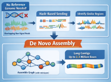 Flowchart illustrating de novo assembly: raw reads are seeded and matched by similarity, assembled into a graph.