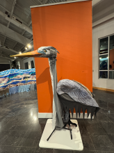 A life-sized, realistic puppet of a gray heron stands on display indoors in front of an orange wall.