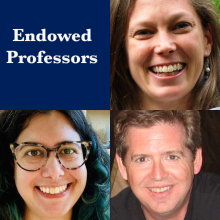 Three smiling individuals are pictured next to the words “Endowed Professors” on a blue background.