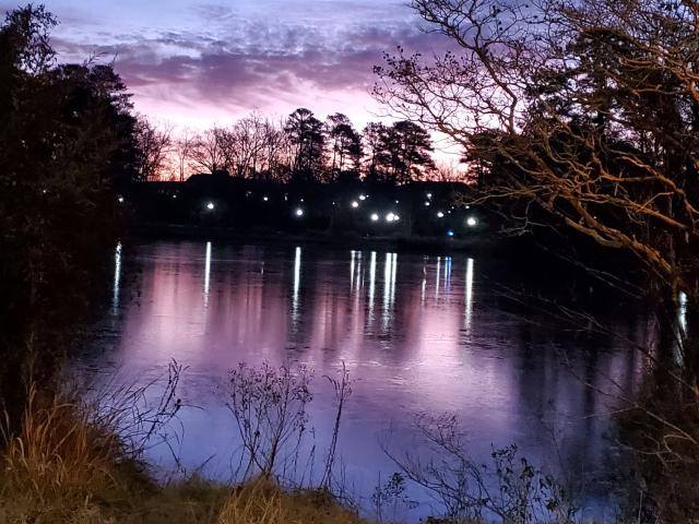 Early morning purple sky with pond in foreground