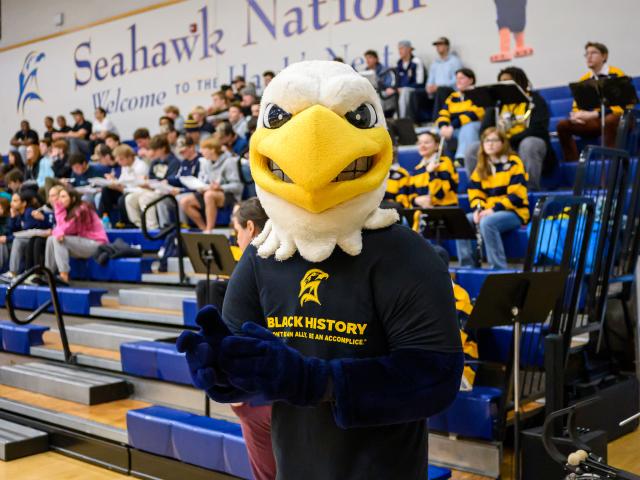 Solomon Seahawk at basketball game