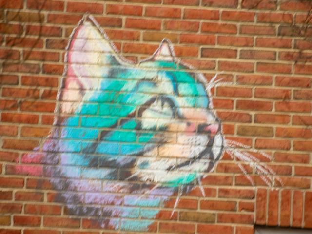 Wall graffiti image of campus cat "Meatball" 
