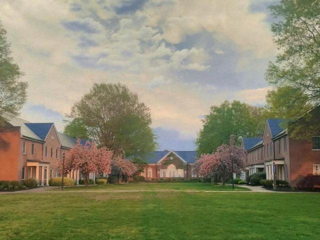 Photos of buildings on the green with trees and golden-tinged sky