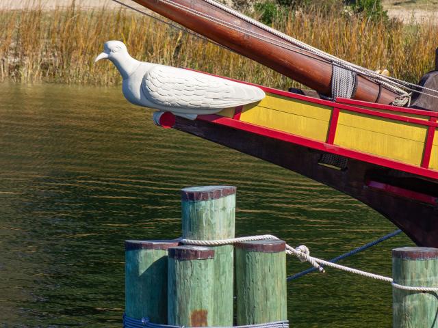 the lookout bird on the Maryland Dove