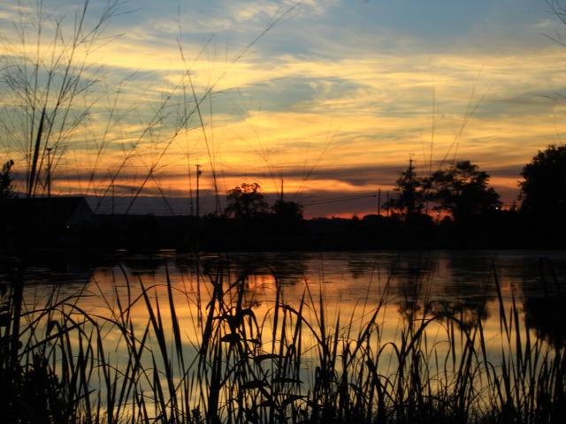 Photo of St. John's pond at sunset. At the top of the photo, the sky is blue and cloudy. In the middle is an orange glow. At the bottom of the photo the pond reflects the sky. Reeds and trees are visible.