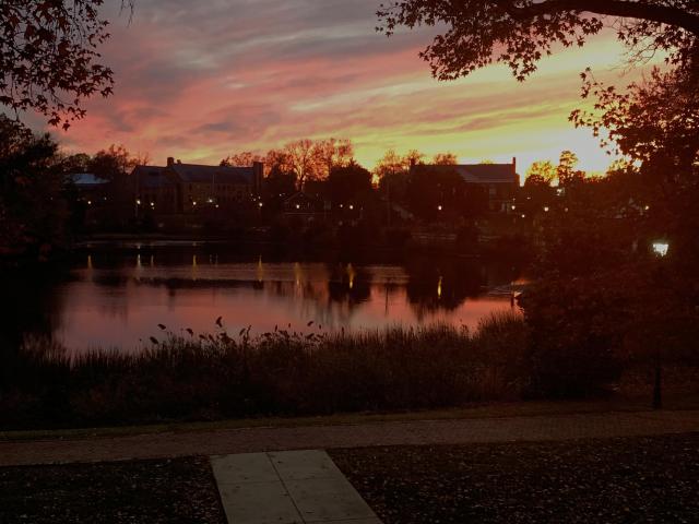 Sunset