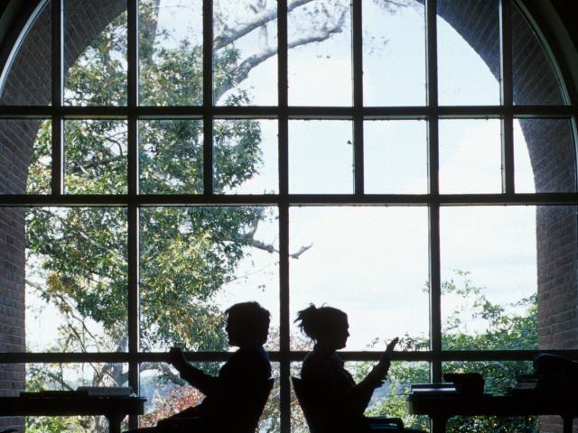 students studying in the library