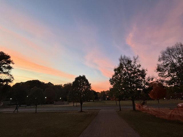 Pink clouds stretching across the blue sky during sunset