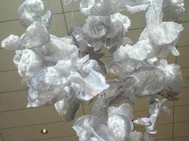 A sculptural installation made of translucent oysters hangs from the ceiling. The ceiling is made of square tiles.