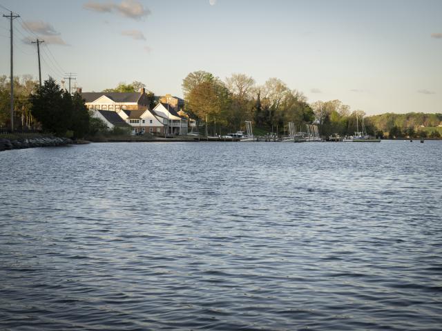  A calm waterfront scene with buildings, trees, and several docked sailboats under a clear sky in the background.