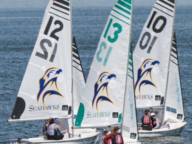 Three sailboats with "Seahawks" logos and numbered sails (12, 13, 10) compete on the water, each boat crewed by two people. Trees and a dock are visible in the background.