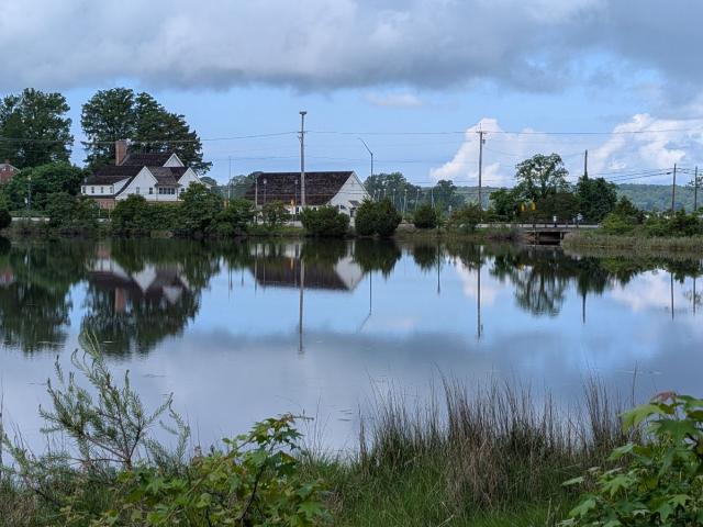 A calm pond reflects nearby houses, trees, and a cloudy sky, with grass and shrubs in the foreground and utility poles in the background.