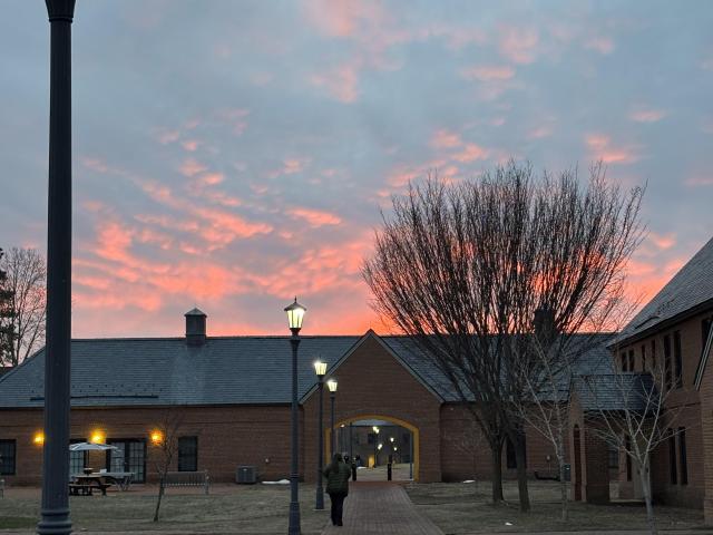 A person walks along a brick path between campus buildings at sunset, with street lamps lit and a blue recycling bin in the foreground.