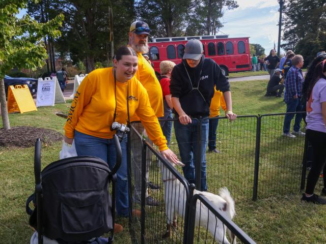 People interact with a goat in a fenced petting area at an outdoor event, with a stroller nearby and a red trolley and crowd in the background.