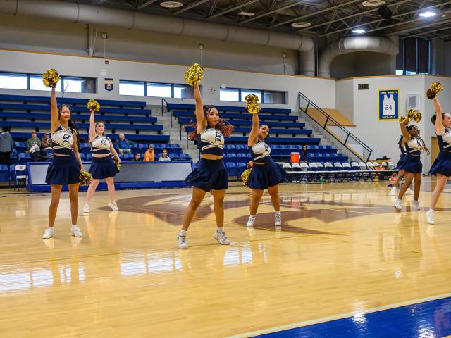 A group of cheerleaders in uniform perform a routine with gold pom-poms on a basketball court in a gymnasium.