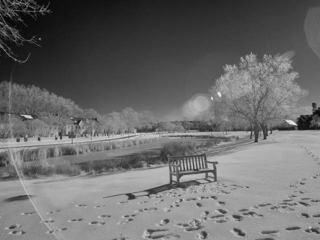 A wooden bench sits on snow near a frozen pond, surrounded by trees and footprints under a clear sky with visible lens flare.